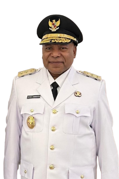 Wakil Gubernur Papua