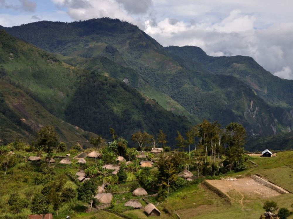 Pusat Data Terpadu Pemprov Papua